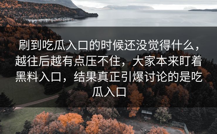 刷到吃瓜入口的时候还没觉得什么，越往后越有点压不住，大家本来盯着黑料入口，结果真正引爆讨论的是吃瓜入口