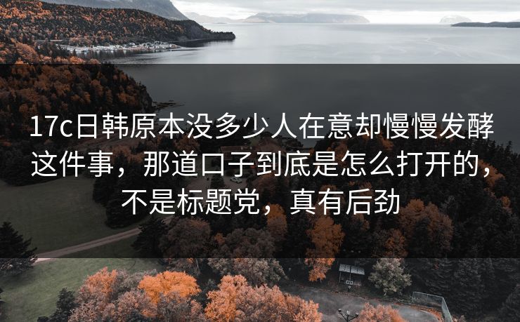 17c日韩原本没多少人在意却慢慢发酵这件事，那道口子到底是怎么打开的，不是标题党，真有后劲