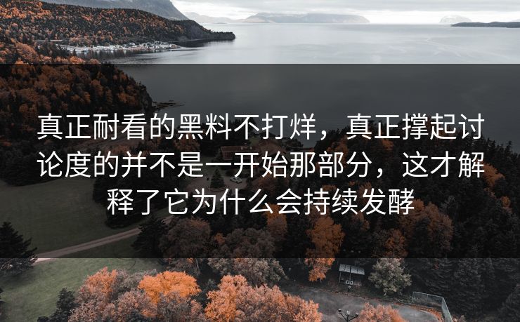 真正耐看的黑料不打烊,真正撑起讨论度的并不是一开始那部分,这才解释了它为什么会持续发酵 真正耐看的黑料不打烊,真正撑起讨论度的并不是一开始那部分,这才解释了它为什么会持续发酵