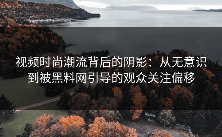 视频时尚潮流背后的阴影：从无意识到被黑料网引导的观众关注偏移