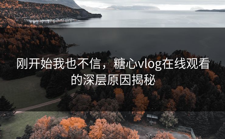 刚开始我也不信，糖心vlog在线观看的深层原因揭秘