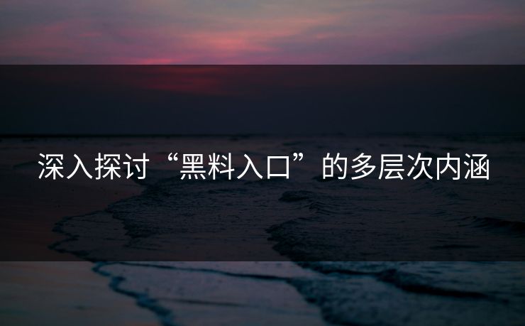 深入探讨“黑料入口”的多层次内涵