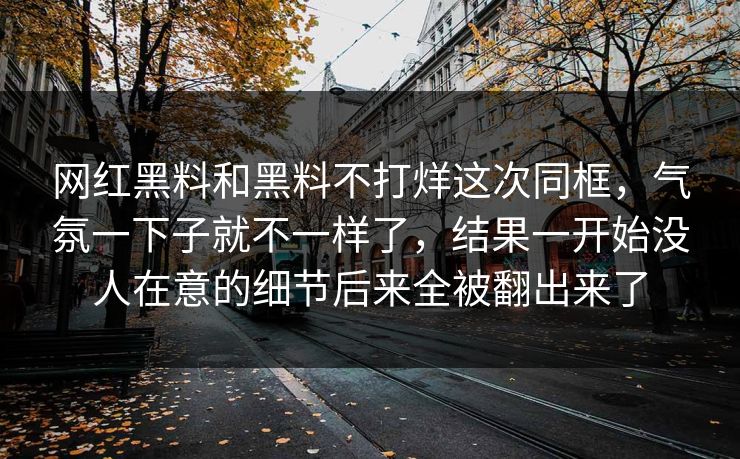 网红黑料和黑料不打烊这次同框，气氛一下子就不一样了，结果一开始没人在意的细节后来全被翻出来了