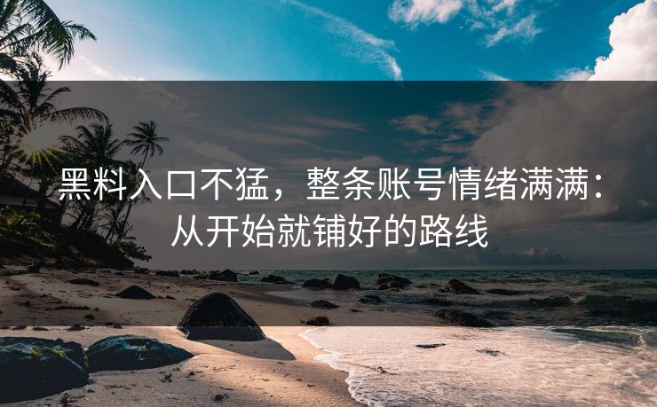 黑料入口不猛，整条账号情绪满满：从开始就铺好的路线